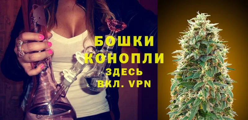 Шишки марихуана White Widow  Дигора 